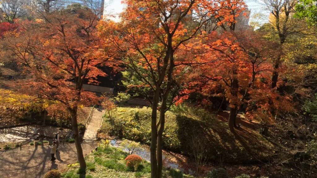 小石川後楽園の紅葉