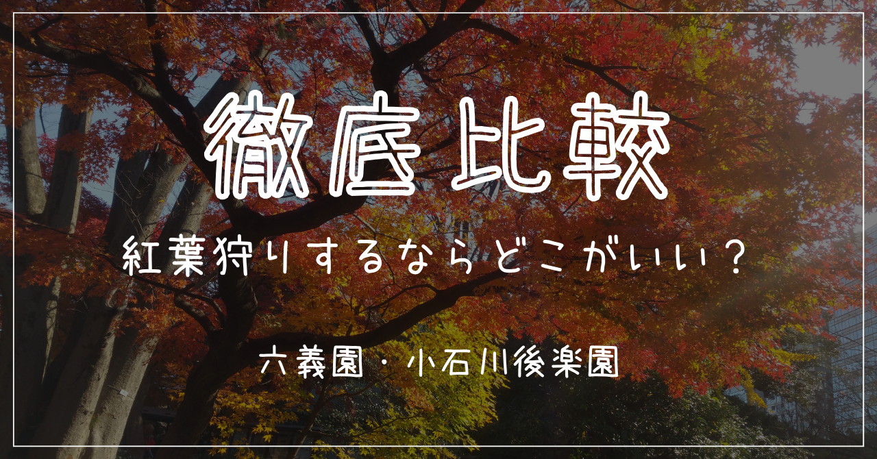 【徹底比較】六義園・小石川後楽園紅葉のアイキャッチ